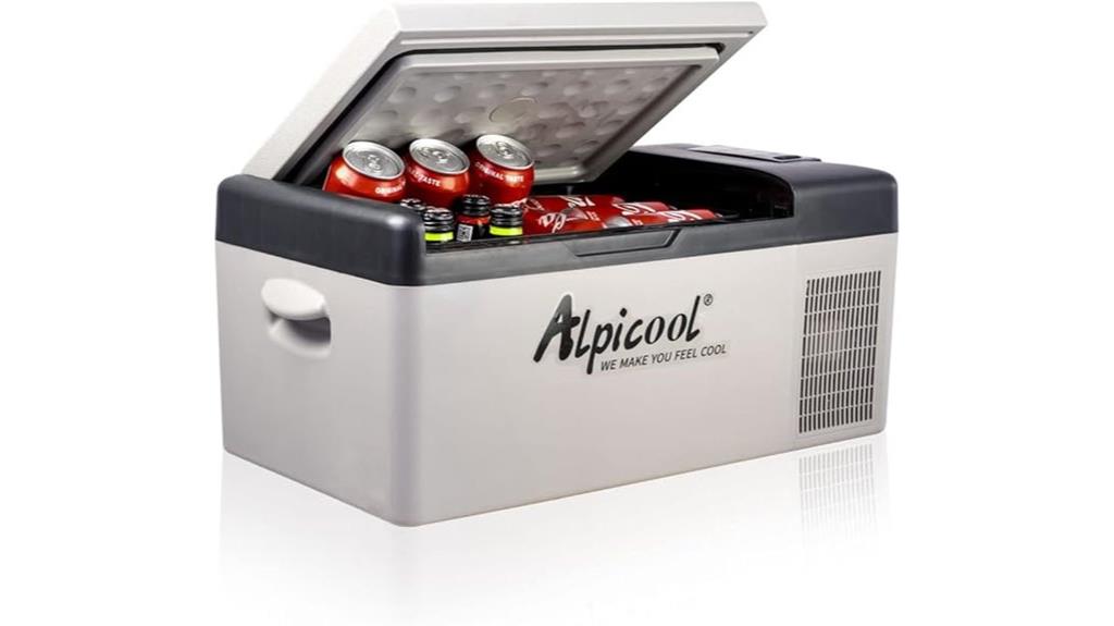 compact car freezer solution