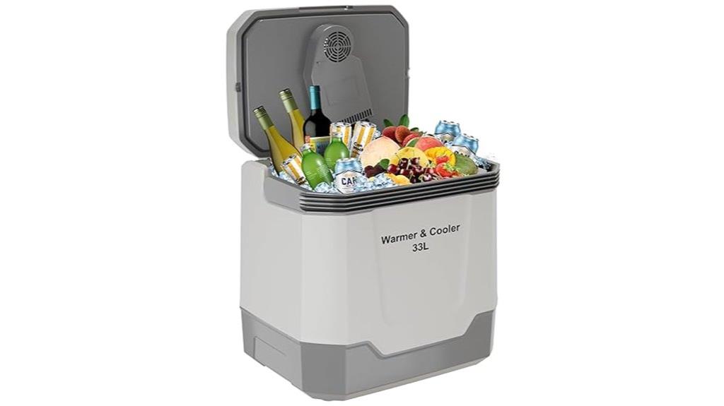 portable electric cooler warmer
